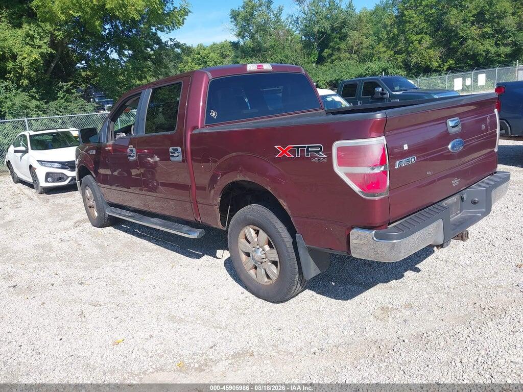 1FTEW1E84AFD44647 2010 FORD F-150 photo no. 3