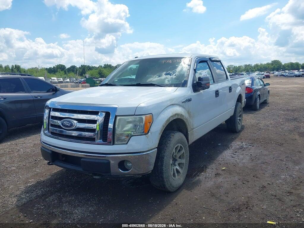1FTFW1EV7AFD96722 2010 FORD F-150 photo no. 12