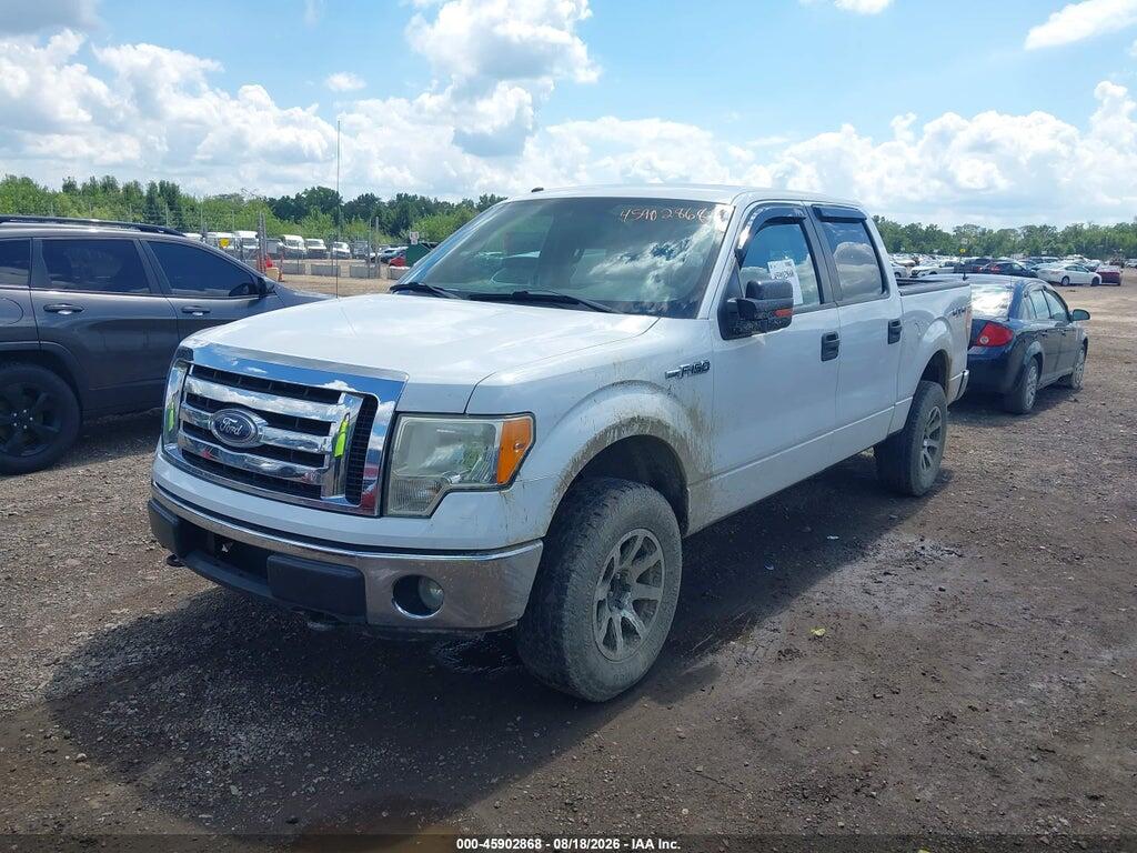 1FTFW1EV7AFD96722 2010 FORD F-150 photo no. 2