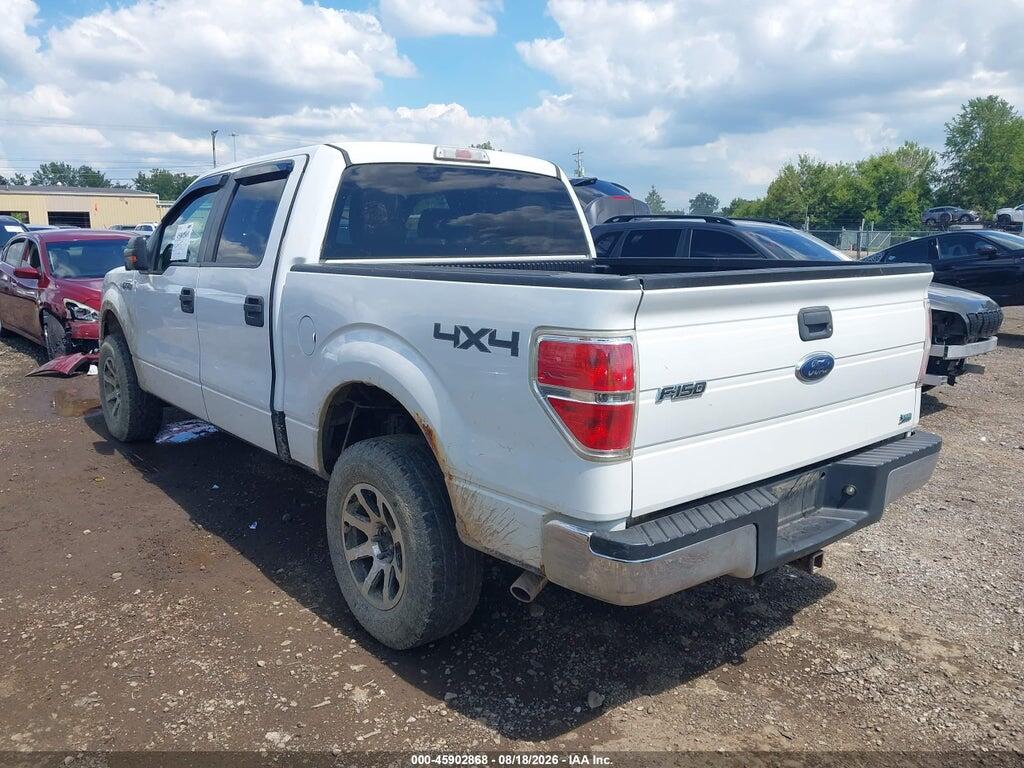 1FTFW1EV7AFD96722 2010 FORD F-150 photo no. 3