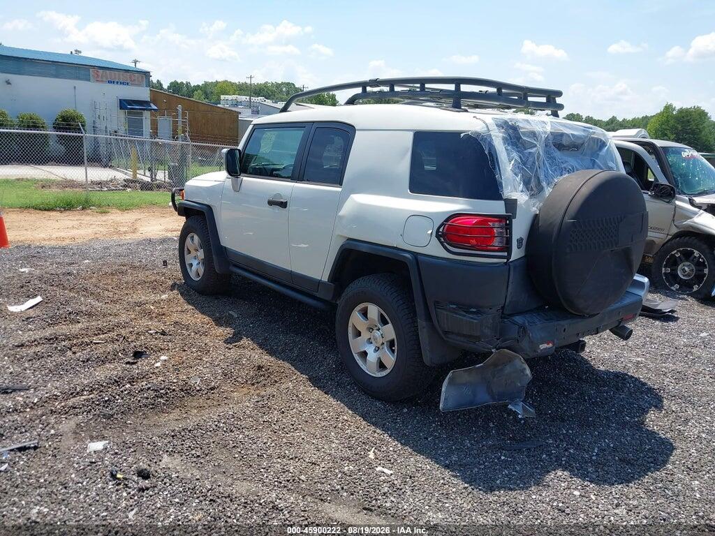 JTEBU4BF4AK089787 2010 TOYOTA FJ CRUISER photo no. 3