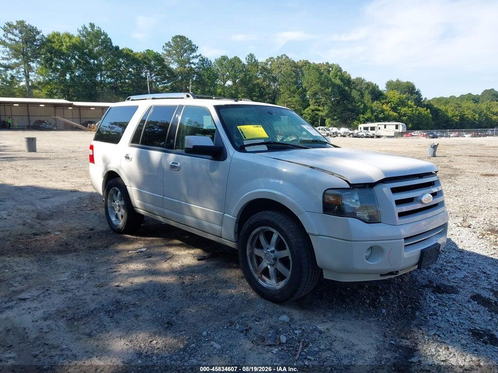 2010 FORD EXPEDITION 1FMJU2A5XAEA33229