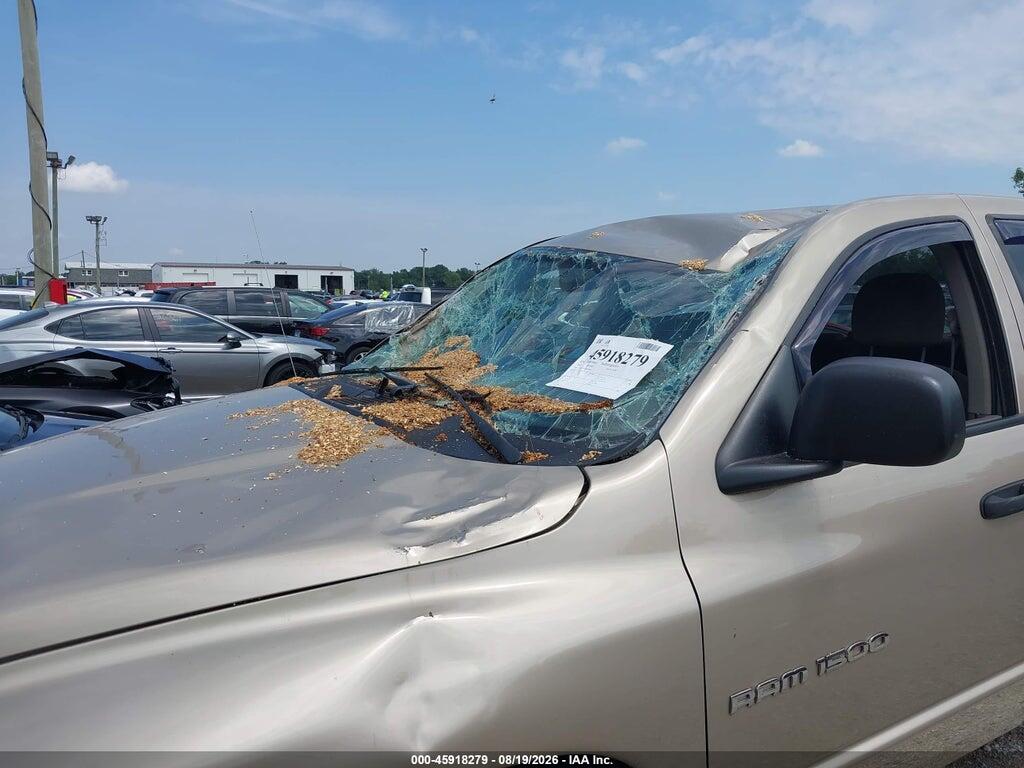 1D7HA18N43S299657 2003 DODGE RAM 1500 photo no. 6