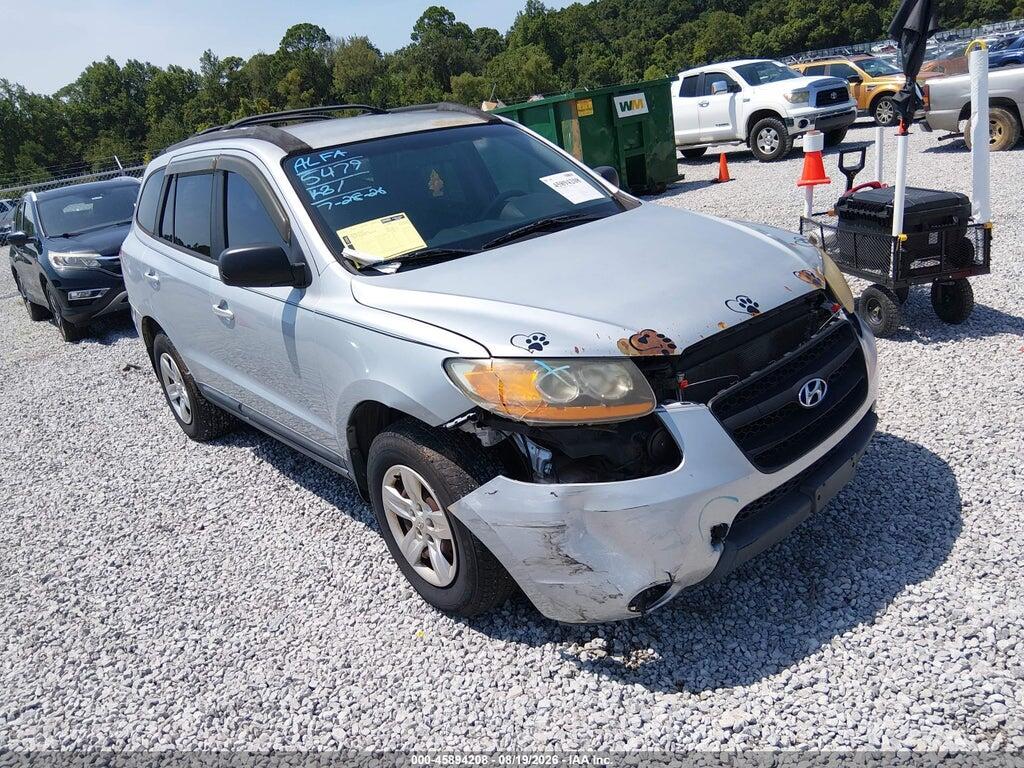 2009 HYUNDAI SANTA FE 5NMSG13D89H301010