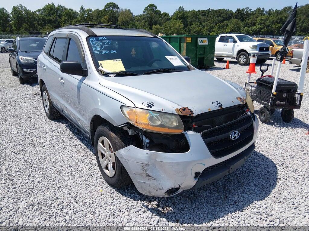 5NMSG13D89H301010 2009 HYUNDAI SANTA FE photo no. 6