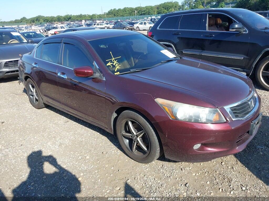 2010 HONDA ACCORD 5KBCP3F81AB004148