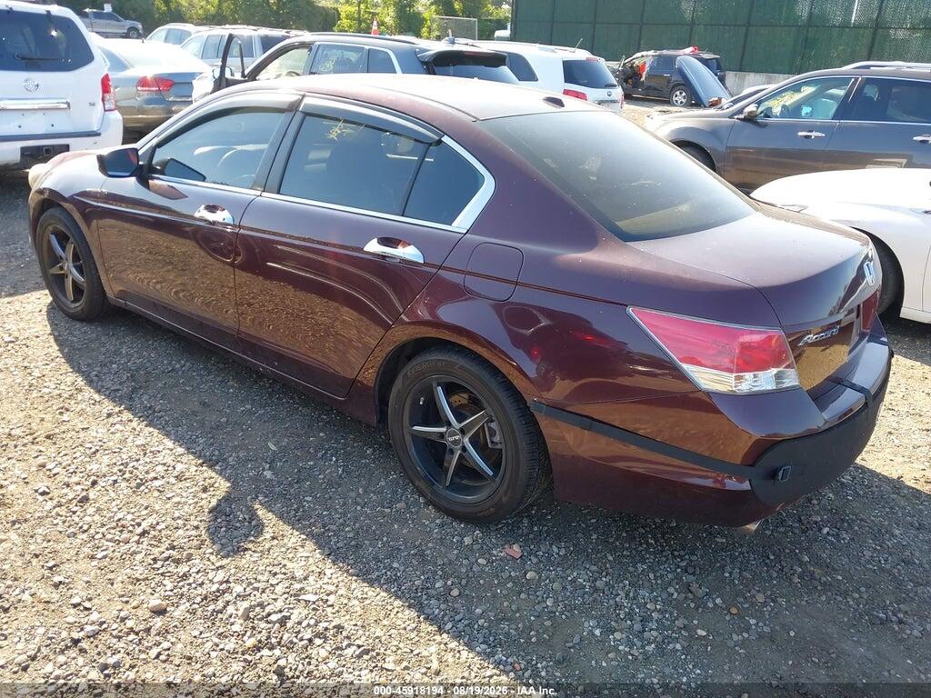 5KBCP3F81AB004148 2010 HONDA ACCORD photo no. 3