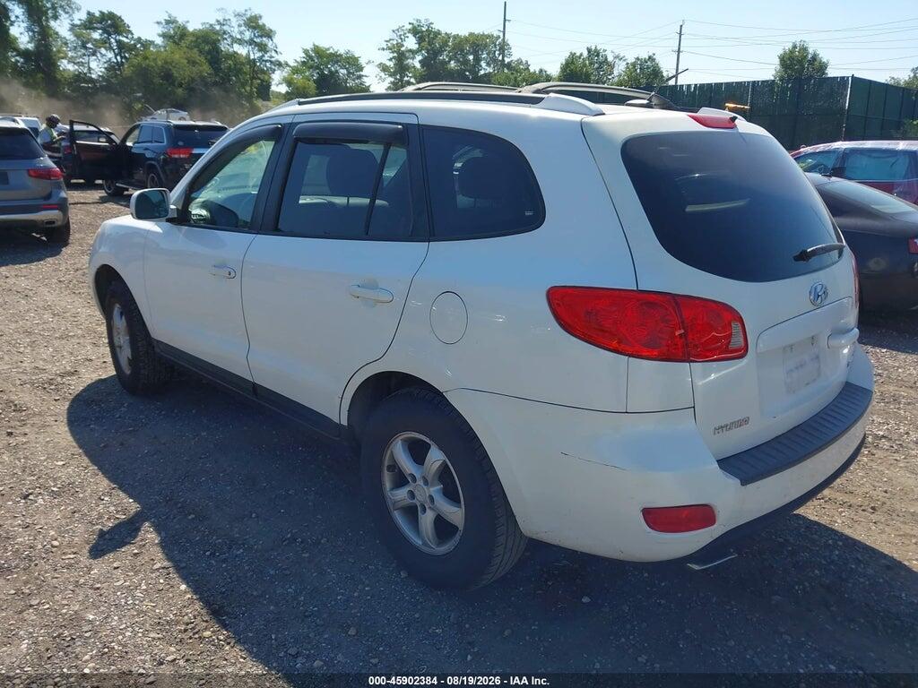 5NMSG13D17H090231 2007 HYUNDAI SANTA FE photo no. 3