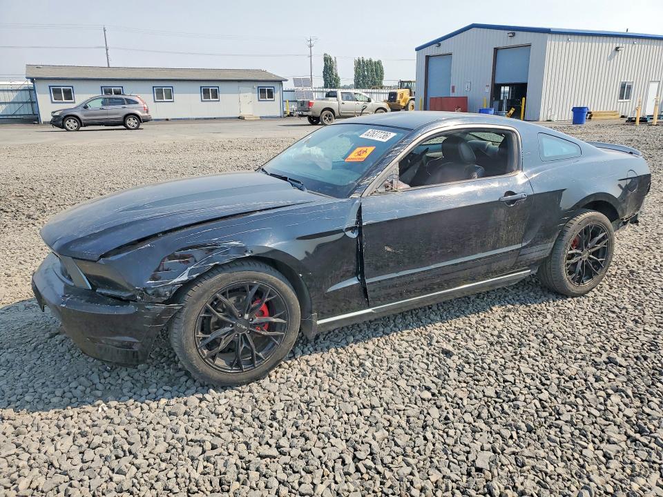 2010 FORD MUSTANG 1ZVBP8AN9A5176396