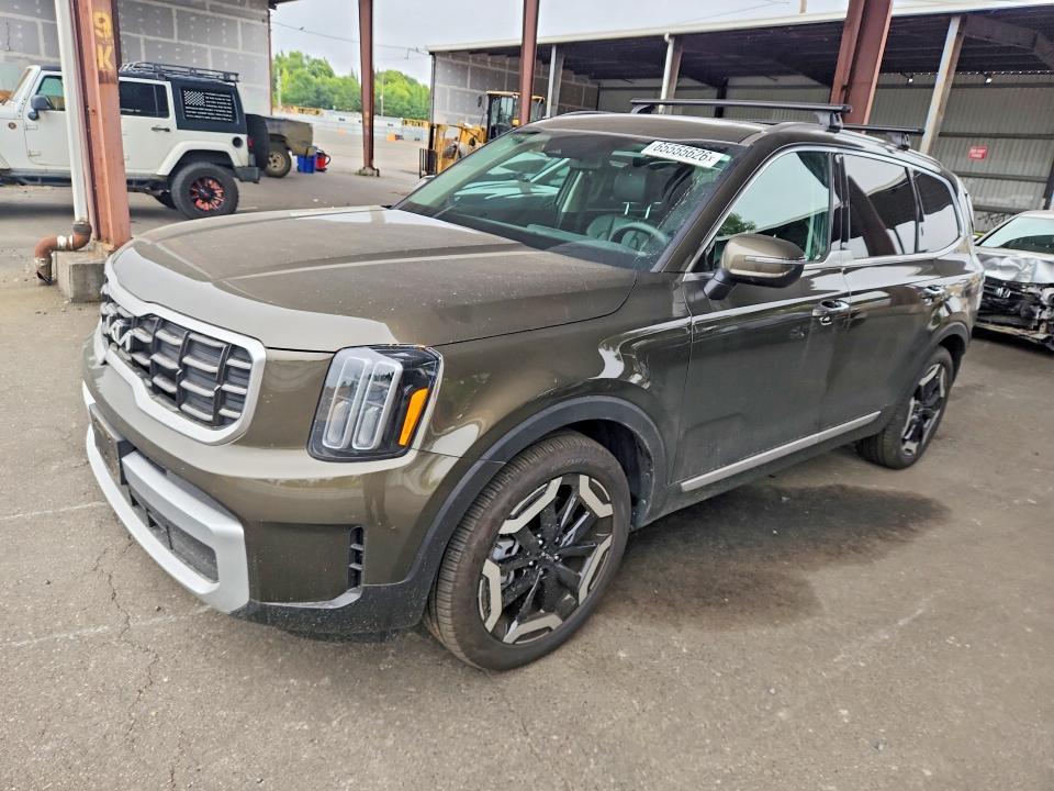 2025 KIA TELLURIDE 5XYP6DGC6SG677054