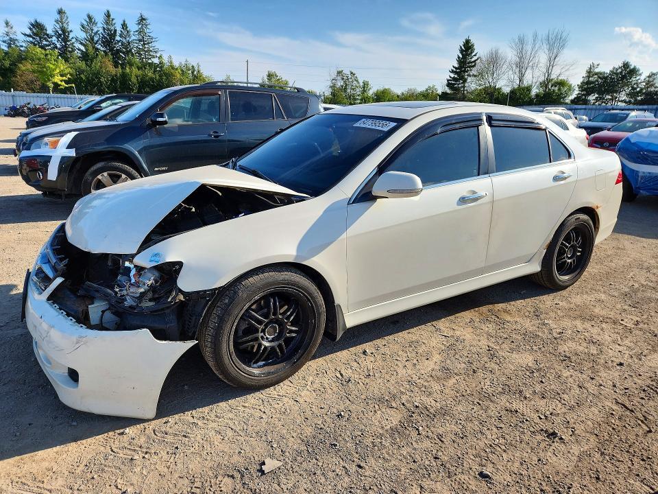 2006 ACURA TSX JH4CL96846C801851