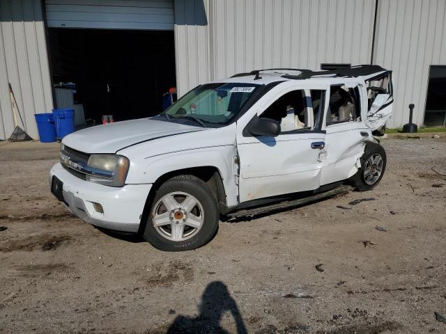 2006 CHEVROLET TRAILBLAZER 1GNES16S766130305