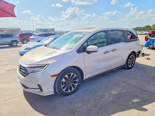 2024 HONDA ODYSSEY 5FNRL6H62RB005838