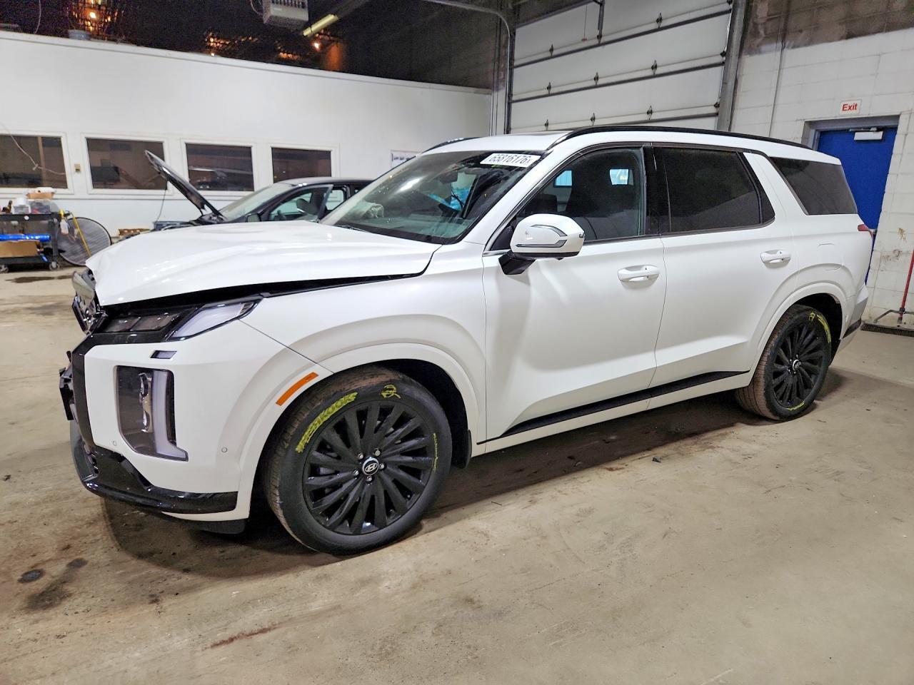 KM8R7DGE9RU683183 2024 HYUNDAI PALISADE photo no. 1
