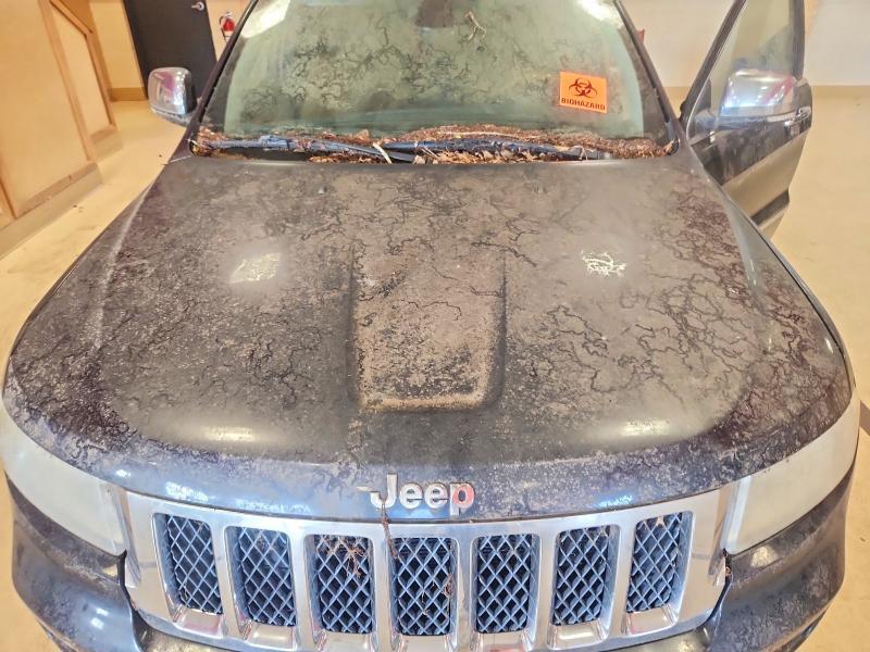 2012 JEEP GRAND CHEROKEE OVERLAND — Фото 12 из 13