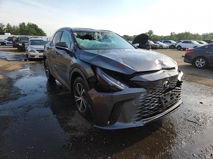 2024 LEXUS RX 350 PREMIUM — Фото 14 из 15