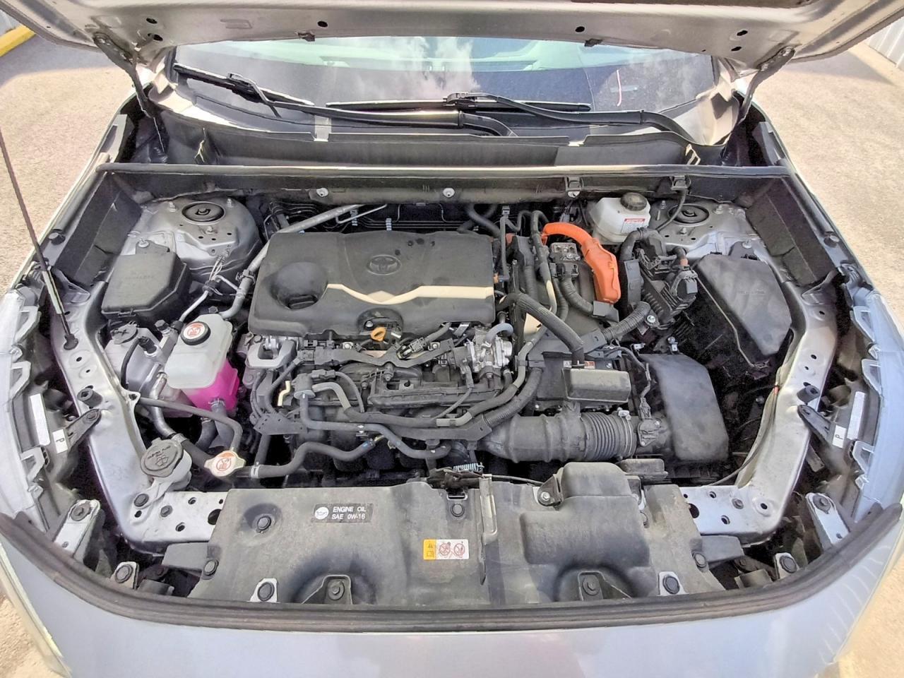 2024 TOYOTA RAV4 LIMITED — Фото 12 из 13