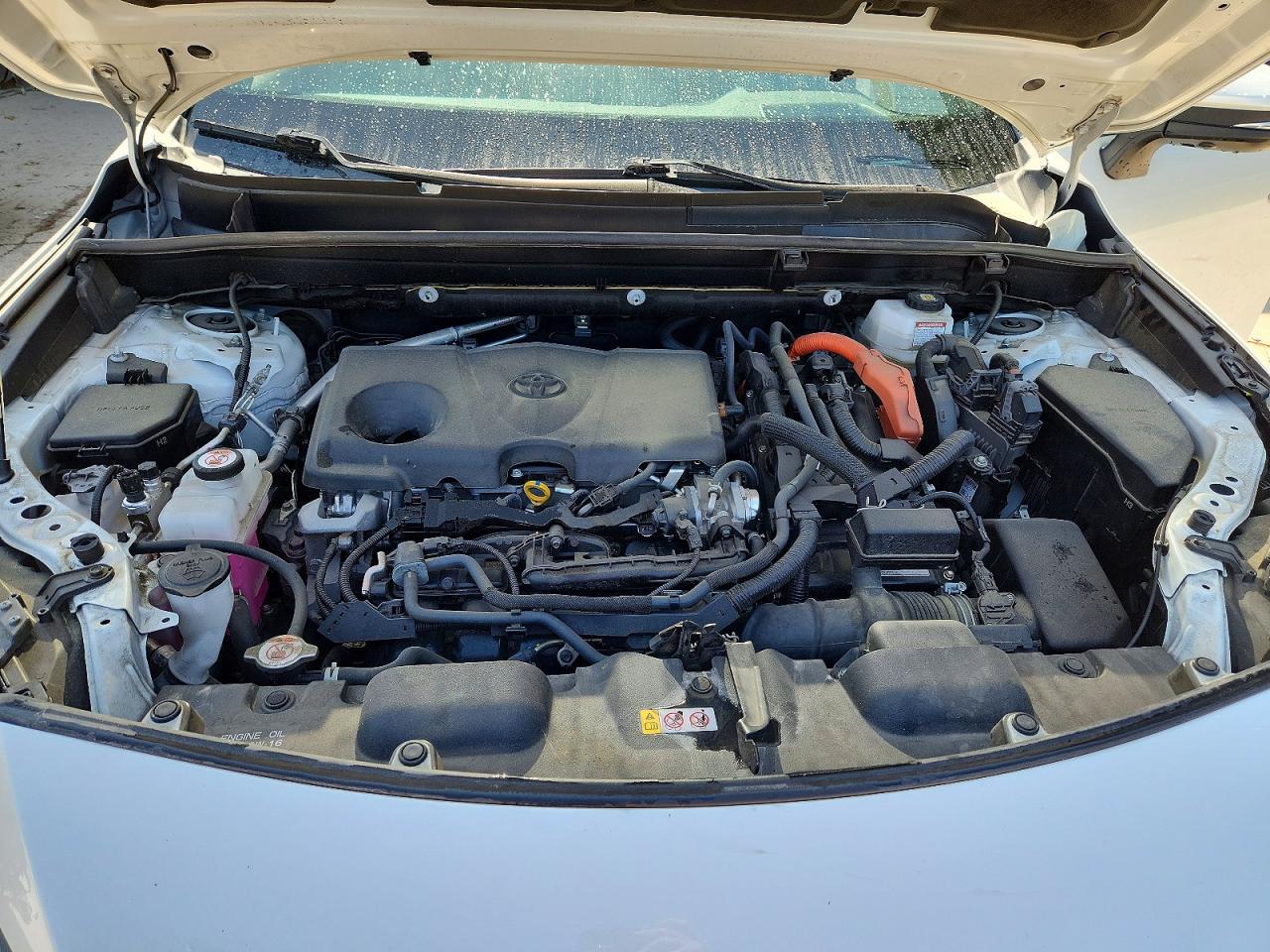 2024 TOYOTA VENZA LIMITED — Фото 12 из 13