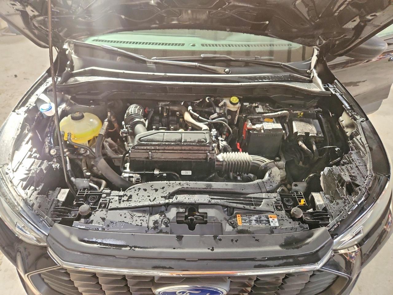 2025 FORD ESCAPE ACTIVE — Фото 12 из 14