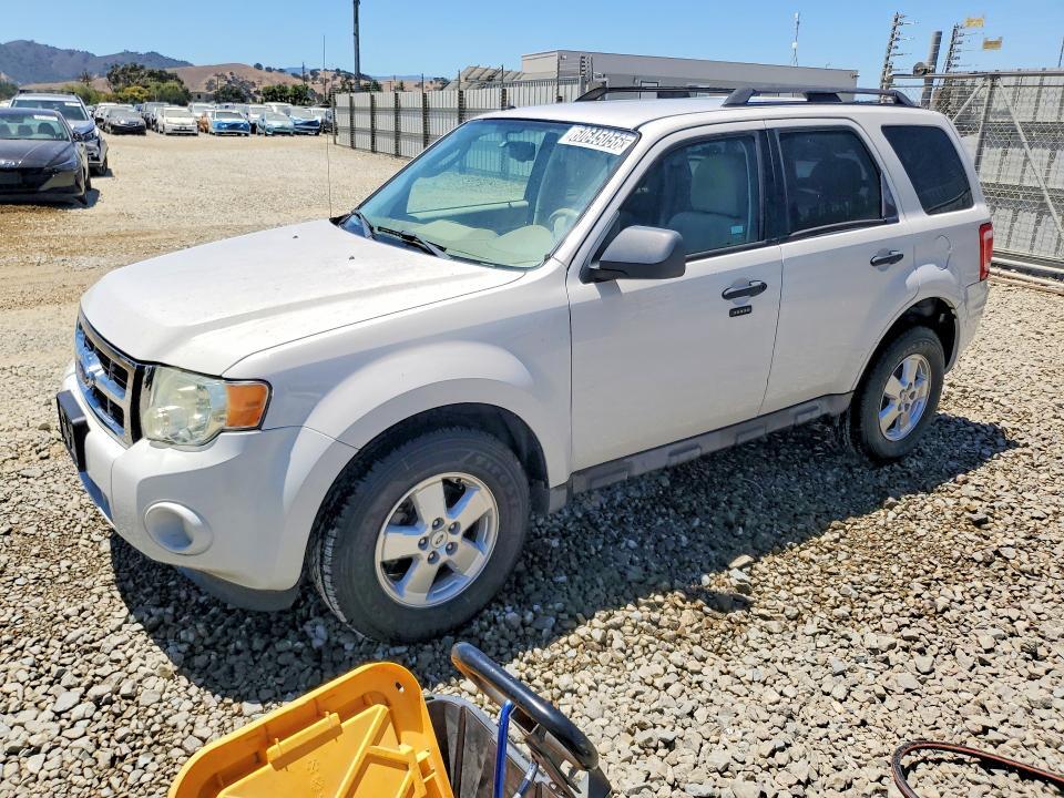 2009 FORD ESCAPE 1FMCU03G19KA94980