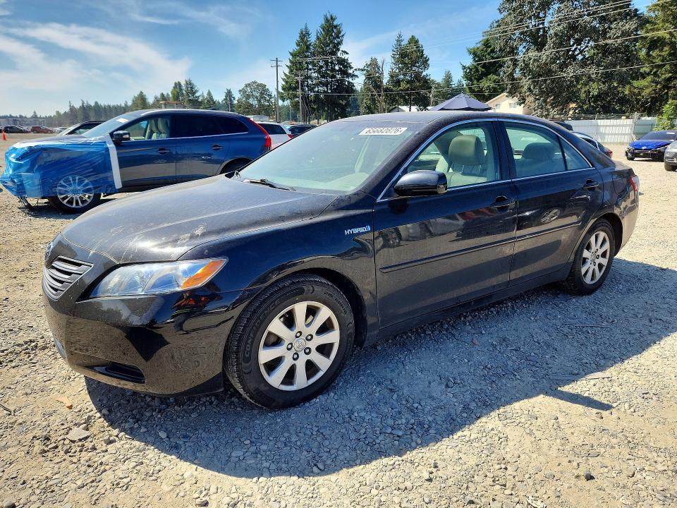 2009 TOYOTA CAMRY 4T1BB46K59U093134