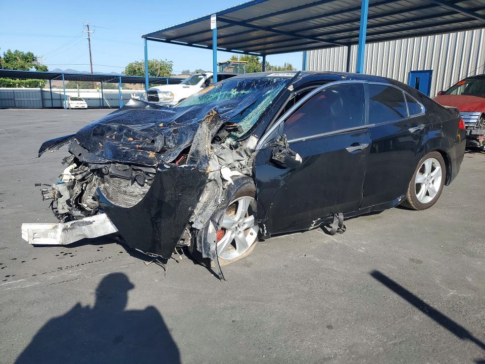 2010 ACURA TSX JH4CU2F63AC030990