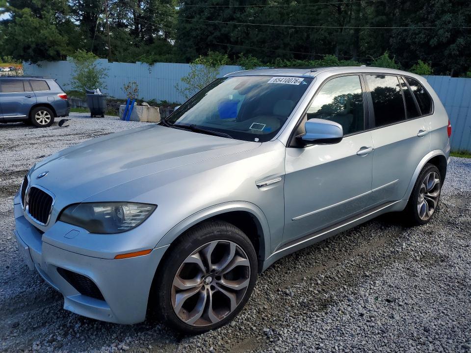 2010 BMW X5 5YMGY0C58ALK25448