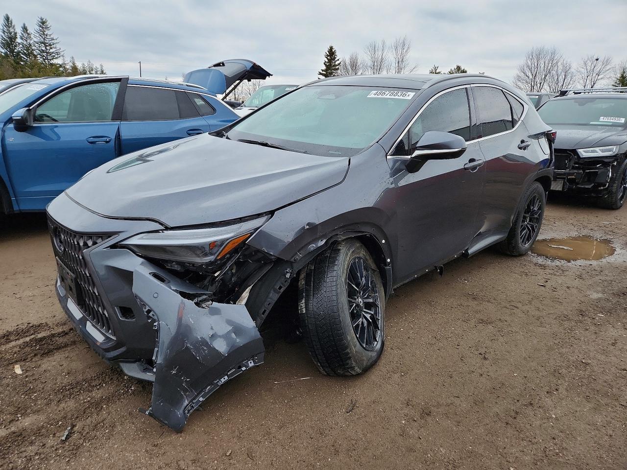 2025 LEXUS NX 350H 2T2GKCEZ9SC045718