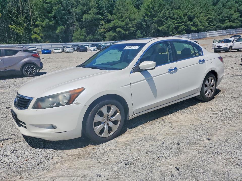 2010 HONDA ACCORD 5KBCP3F85AB015668