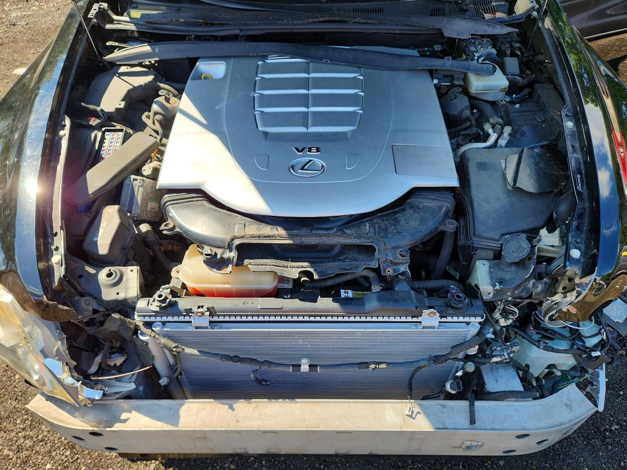 2010 LEXUS LS 460 — Фото 11 из 12