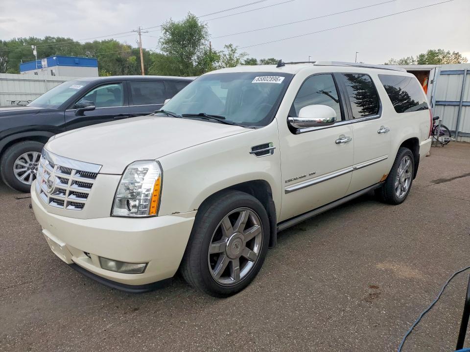 2011 CADILLAC ESCALADE 1GYS4JEF1BR159392