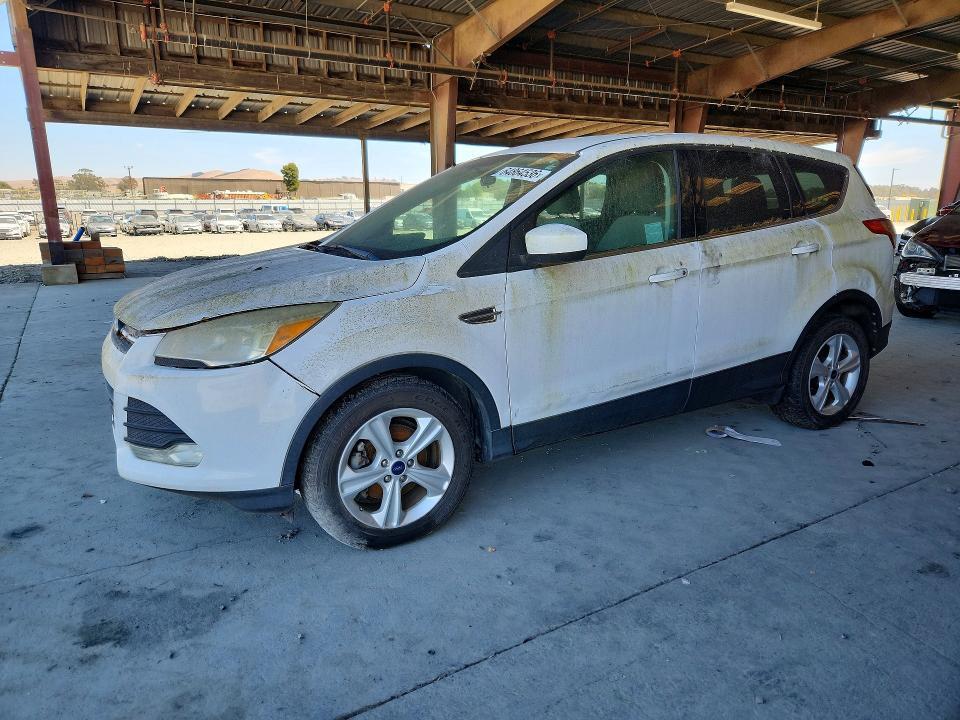 2014 FORD ESCAPE 1FMCU0GX9EUC38896