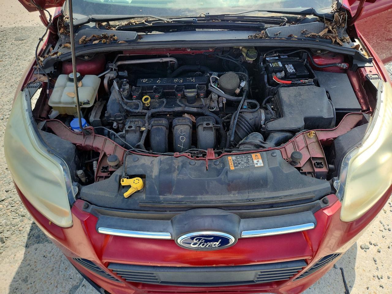 1FADP3F25EL320403 2014 FORD FOCUS photo no. 11