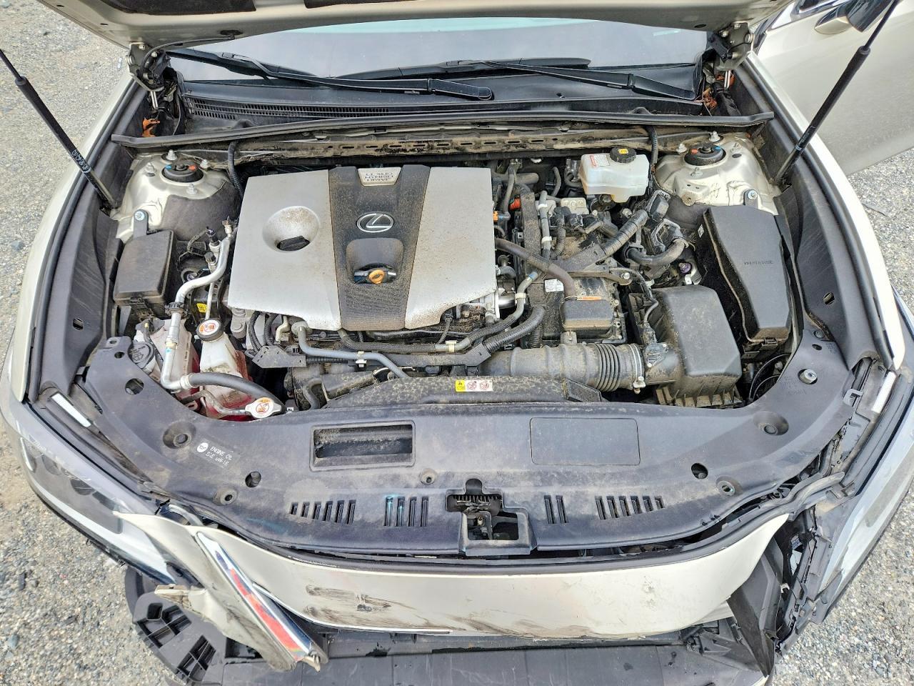 2019 LEXUS ES 300H — Фото 11 из 12