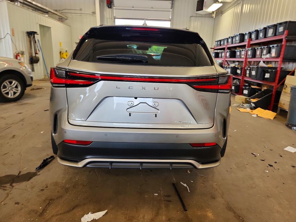 2026 LEXUS NX 350 F SPORT HANDLING — Фото 6 из 14