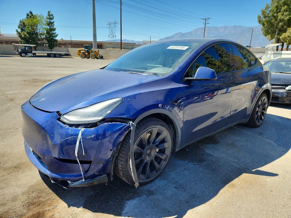 2021 TESLA MODEL Y