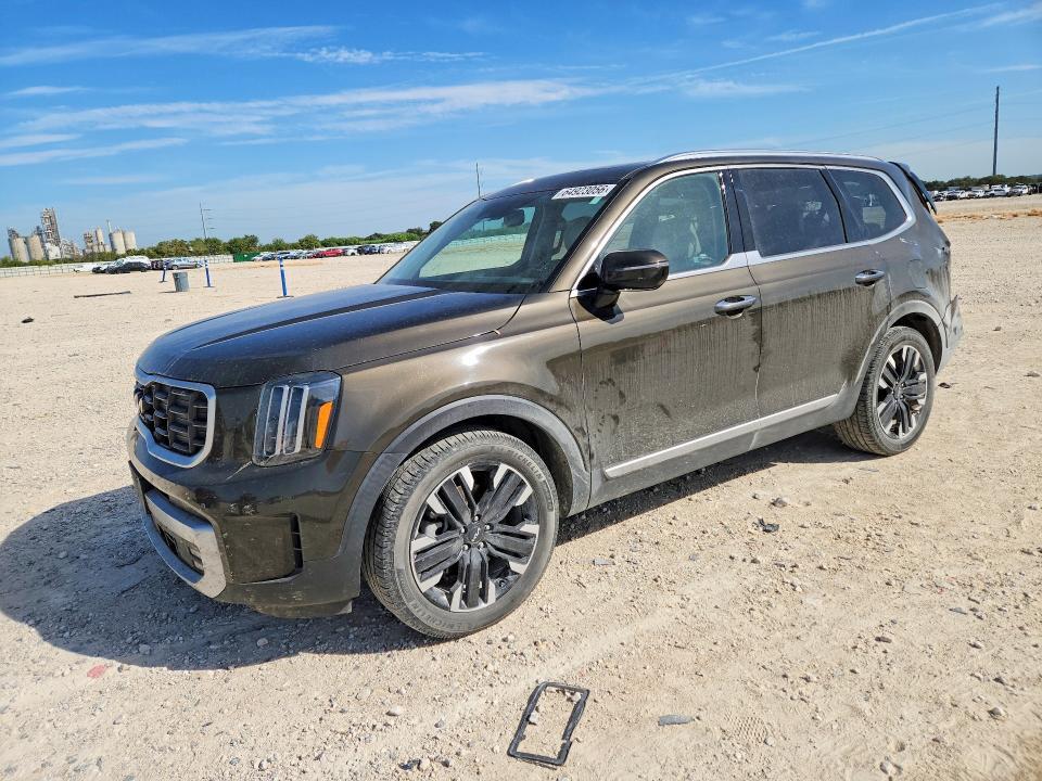 2023 KIA TELLURIDE 5XYP5DGC1PG334176