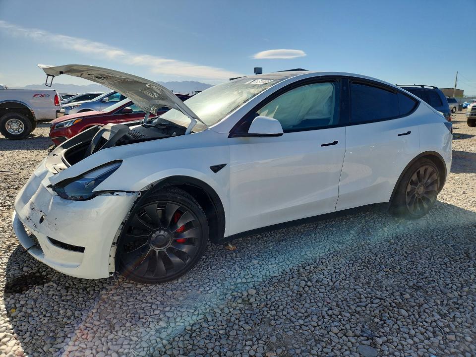2023 TESLA MODEL Y 7SAYGDEF3PF636039