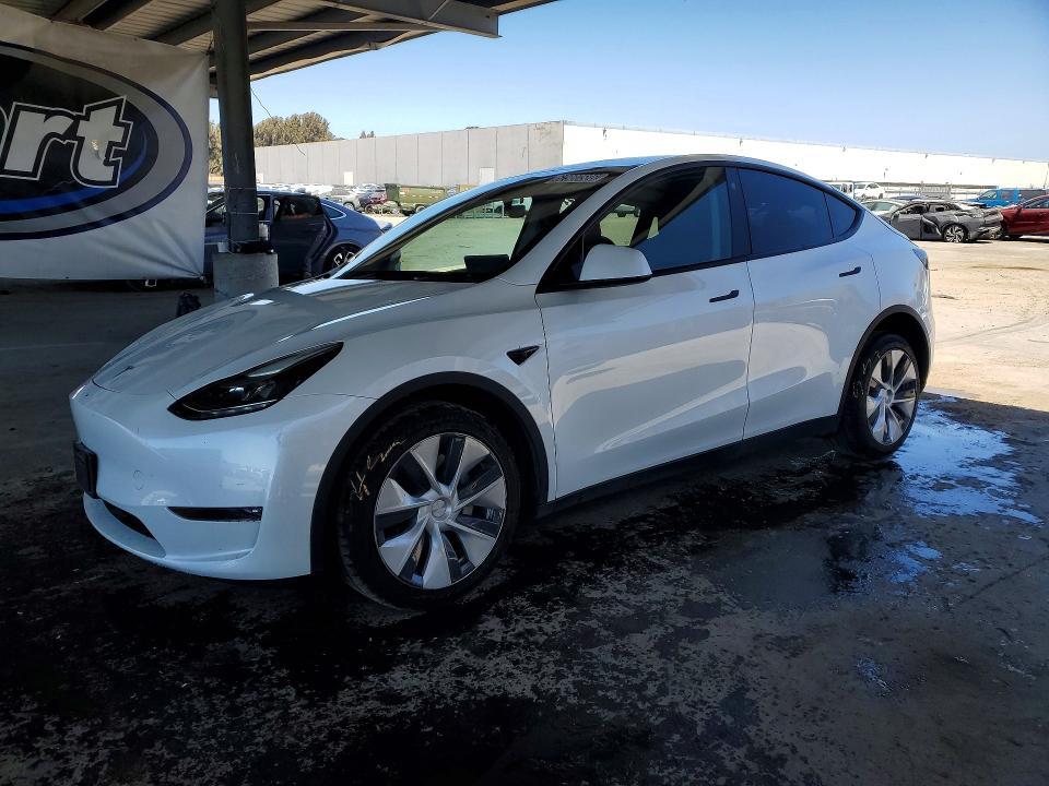 2023 TESLA MODEL Y 7SAYGDEE8PF622869