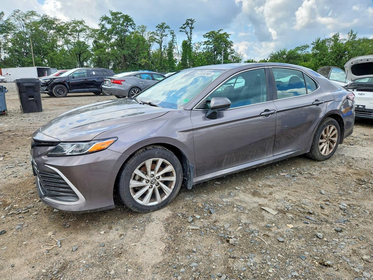 2023 TOYOTA CAMRY LE