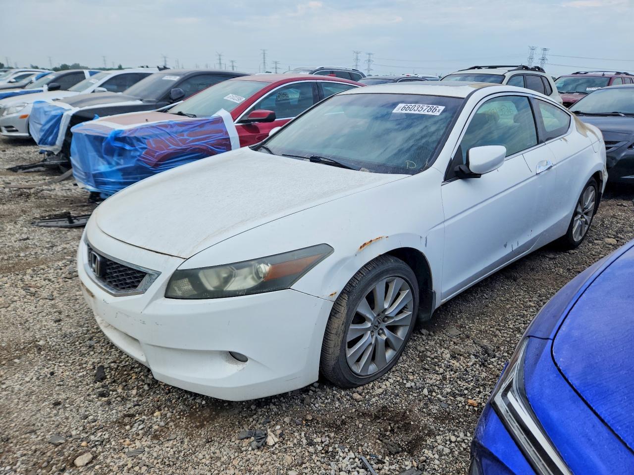 2009 HONDA ACCORD EXL