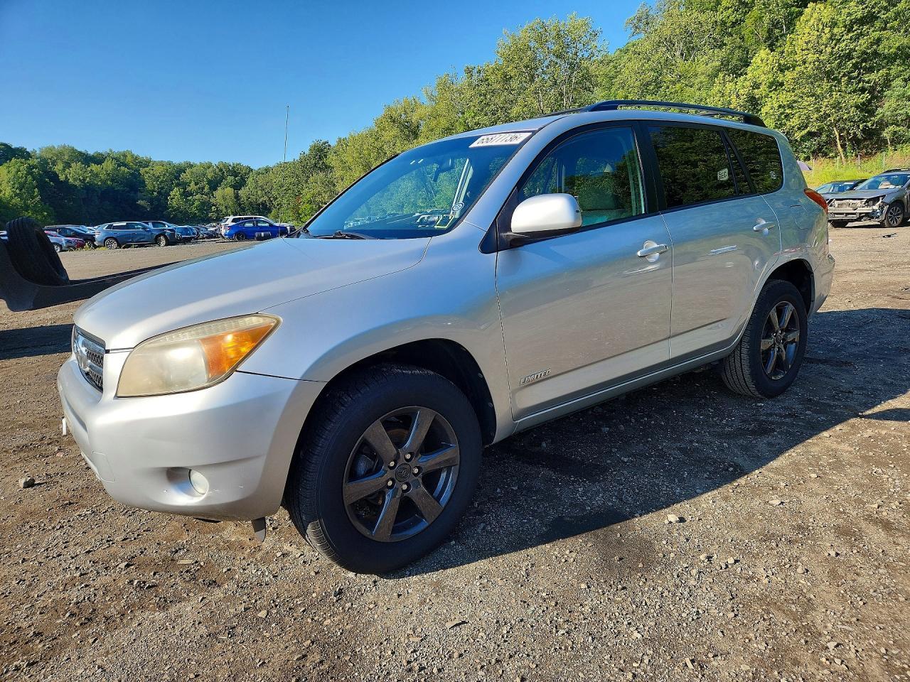 2007 TOYOTA RAV4 JTMBD31V676037960
