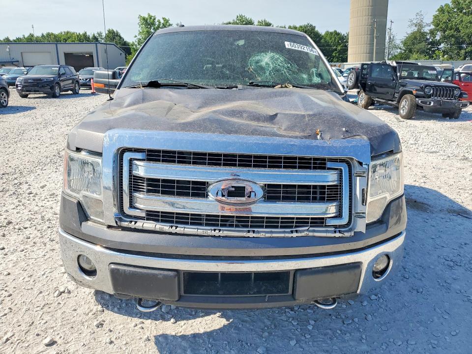 1FTFX1EF7EFA43229 2014 FORD F150 photo no. 5