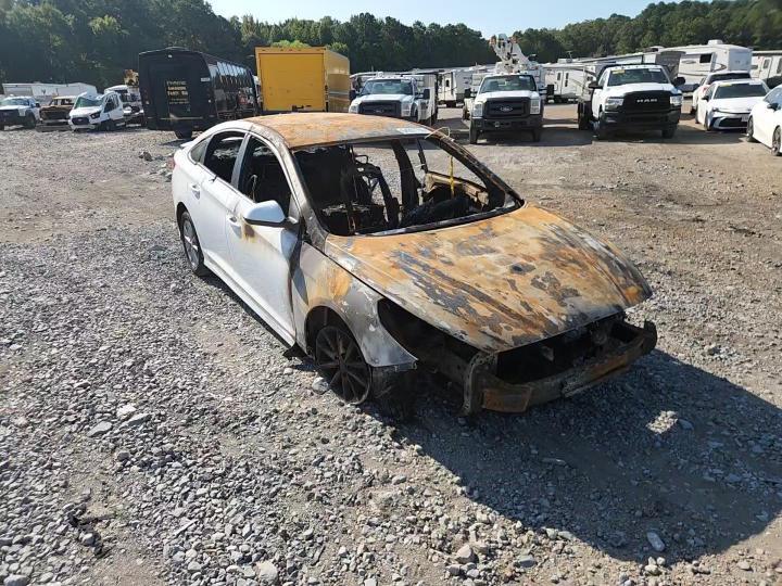 5NPE24AF5KH762269 2019 HYUNDAI SONATA photo no. 12