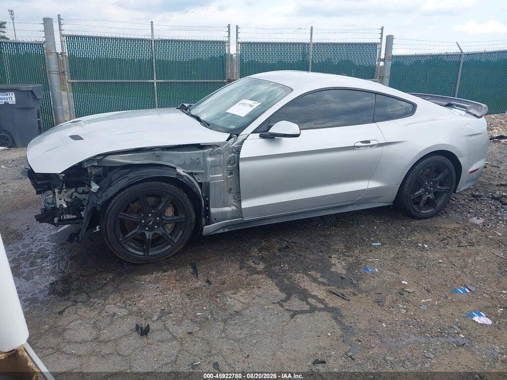1FA6P8CF9K5150379 2019 FORD MUSTANG photo no. 2