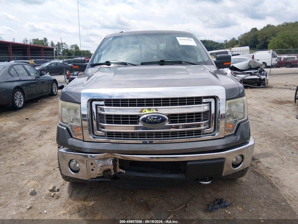 1FTFX1EF0EKF03144 2014 FORD F-150 photo no. 12