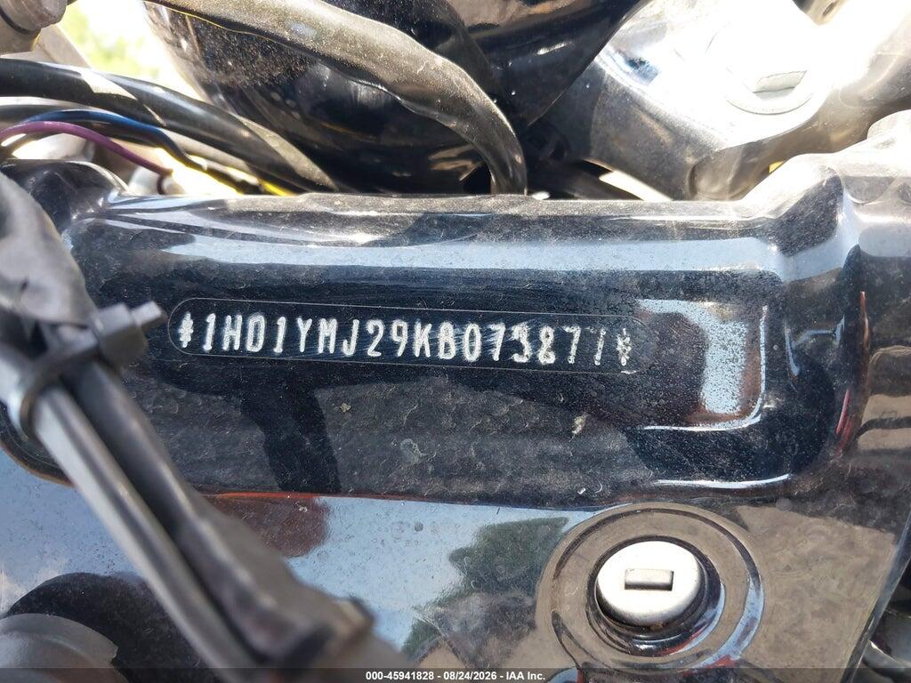 1HD1YMJ29KB073877 2019 HARLEY-DAVIDSON FLSB photo no. 10