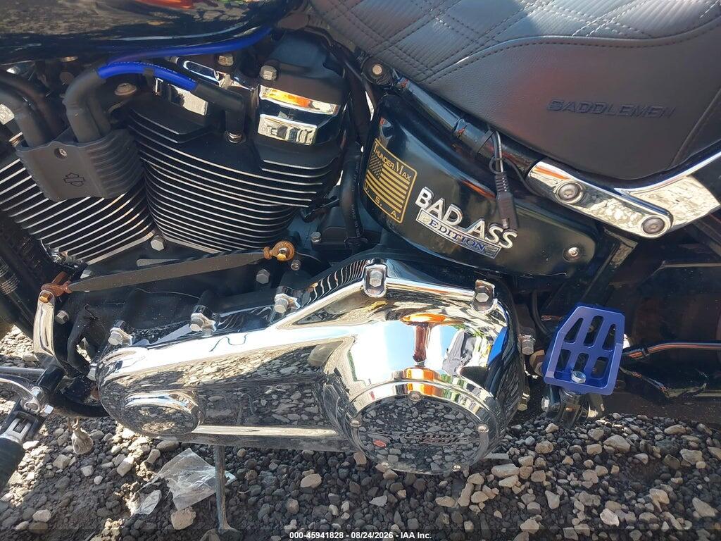 1HD1YMJ29KB073877 2019 HARLEY-DAVIDSON FLSB photo no. 9