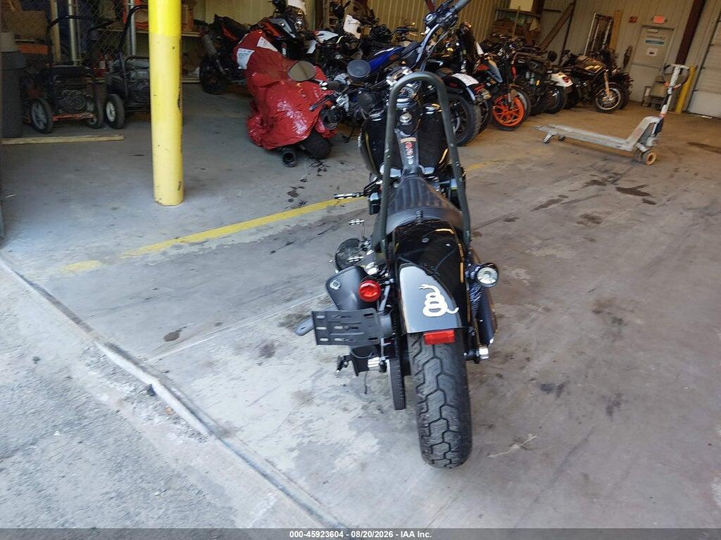 1HD1JRV11EB030447 2014 HARLEY-DAVIDSON FLS photo no. 6