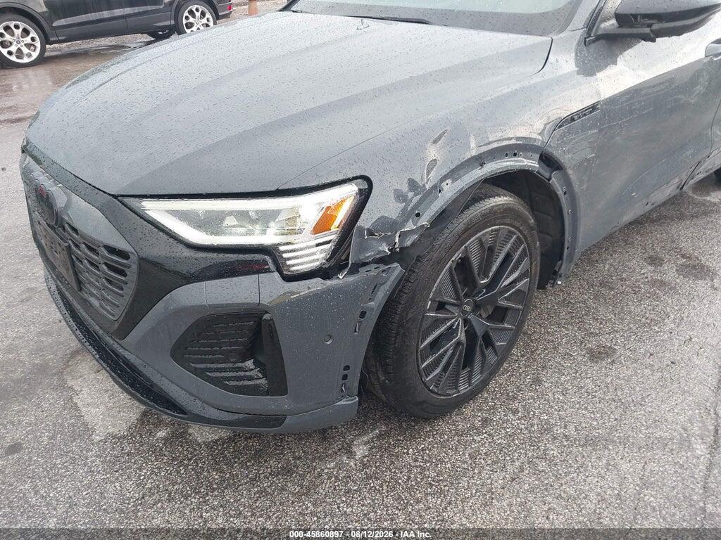 WA16AAGE4RB049048 2024 AUDI Q8 E-TRON photo no. 6